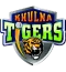 png-transparent-khulna-tigers-cricket-team-logo-sports-cricket-teams-removebg-preview